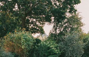 Am Mühlenberg - Photo 7