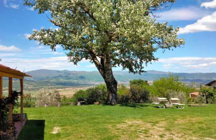 Vigna del Poggio - Foto 16