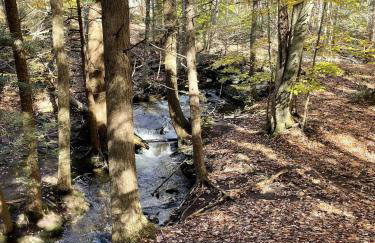 FRENCH WOODS FARMHOUSE Catskills Upper Delaware River Hancock NY - Foto 75