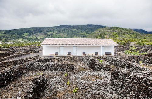 Insula Vinus Apartments - Photo 13