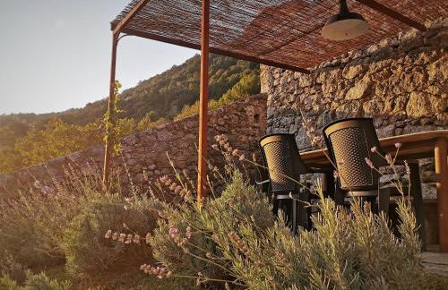 Borgo Selvapiana - Photo 11