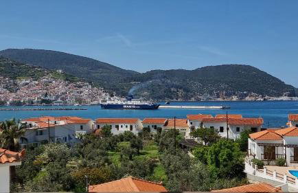 Péra Skopelos - Péra ex Maistros - Foto 63