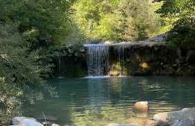 Da Santina - Photo 2