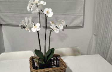 Alojamiento las Dunas alto - Foto 1