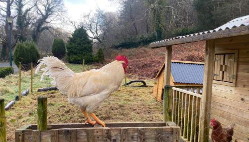 MotoCamp Wales - Lodges - Foto 5