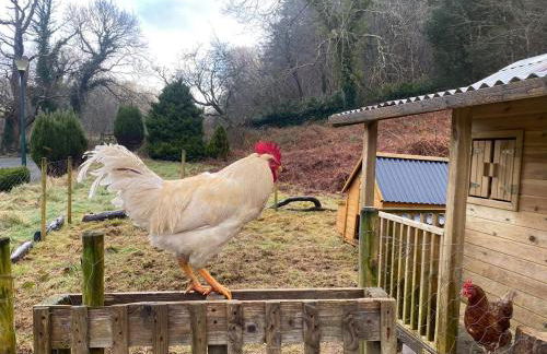 MotoCamp Wales - Lodges - Foto 5