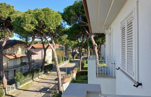 Accogliente bilocale con terrazzo a Pinarella di Cervia - CV006 - Foto 22