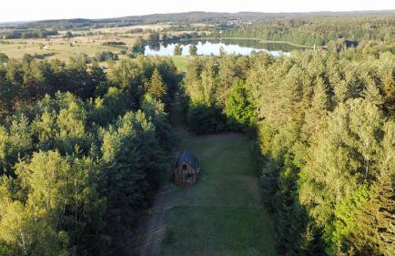 Dom w lesie - Foto 8