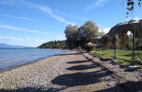 Kalypso relaxing shelter - Foto 37