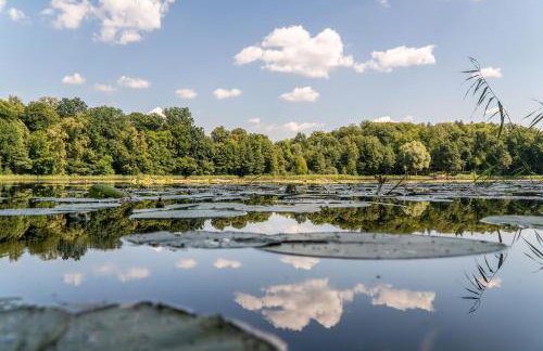Beniaskie! Lake Lodge in West Masuria - Foto 26