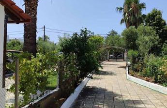 The Vintage House - Foto 6