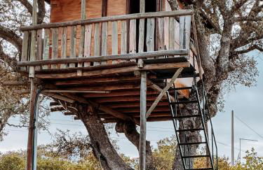 Corvatos Casas do Monte - Foto 59