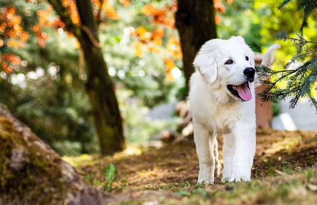 6 Person Holiday Home in Transtrand-by Traum - Foto 24