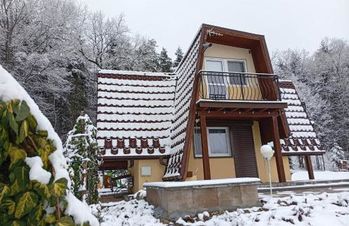 Szumią Dęby - Marcyporęba - Photo 48