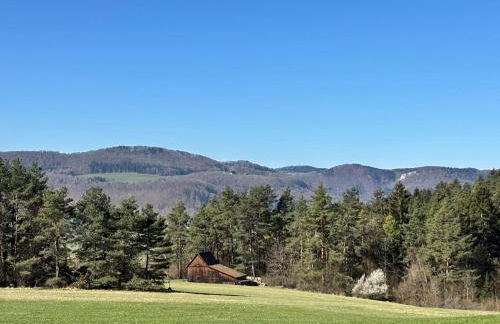 Panoramablick mit Premium-Wanderwegen vor der Haustür - Foto 34