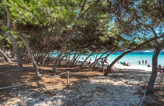 Lago y Mar - Foto 29