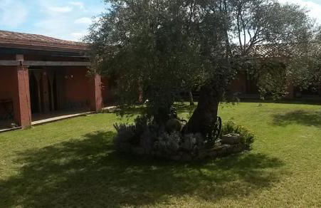 Agriturismo Su Barraccu - Foto 60