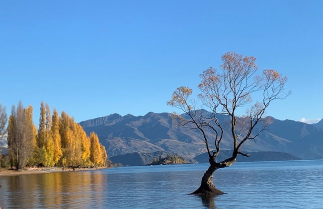 Alpine Motel - Foto 76