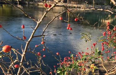 Holiday Home Božica - Photo 64