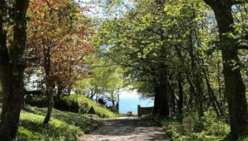 2 Bedroom Cornish Cottage For Penzance And St Ives - Foto 3