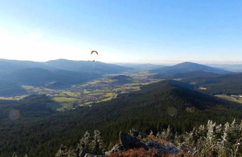 Gästehaus Schmalzreich - Foto 25