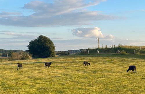 POPPY LUXURY LODGE Sleeps 8 at Fairview Farm, Ravenshead, Nottingham Near Sherwood Forest, Dog Friendly, Farm Stay great for wedding groups, families, Hen Do's, friends gatherings with amazing views - Foto 68