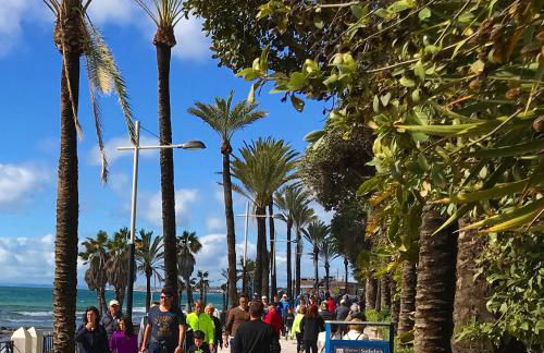 Vivaldi Boutique Suites Jardines del Mar - Foto 43