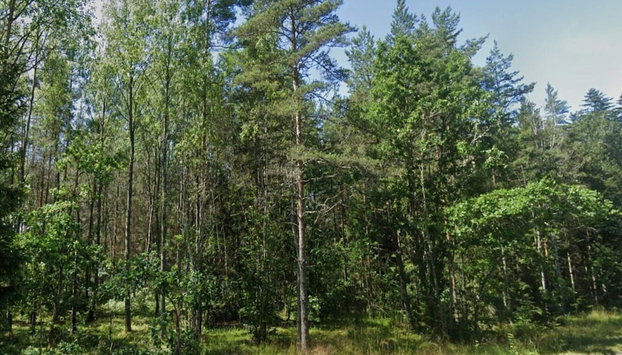 3 Person Holiday Home in Eskilstuna - Foto 5, Miscelánea