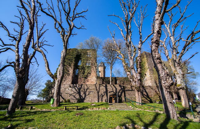 Eifel Nationalpark Grand Lodge - Photo 57