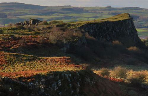 North Farm - Foto 21