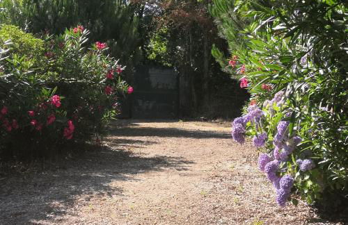 Quinta do Soldado - Foto 49