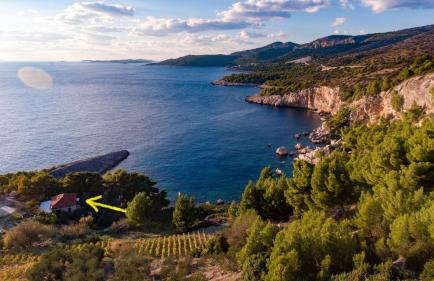 Apartment Kati - Photo 1