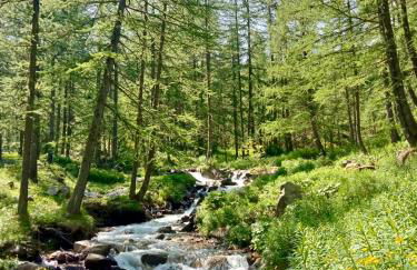 joli studio vue montagne - Photo 20