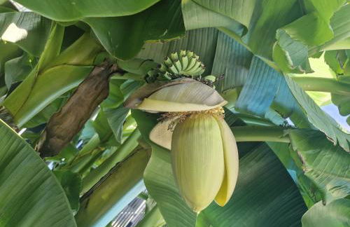 Apartmenthaus Wertheim - Foto 19