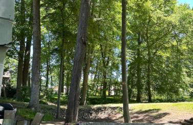 Blocks to Town, Game Room, Firepit, Huge Backyard - Photo 7