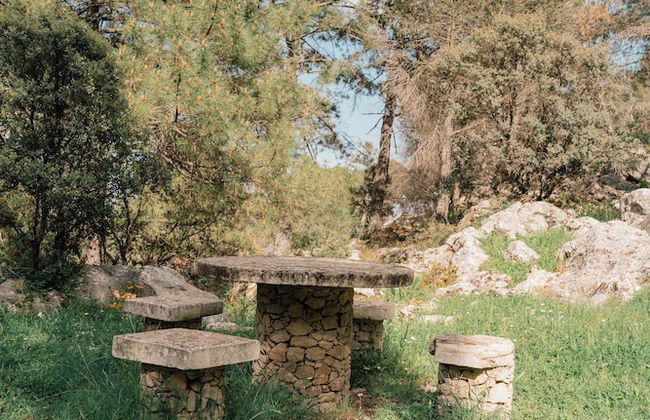 Camping Tajo Rodillo - Foto 40