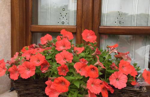 La Casona de Benito - Foto 36