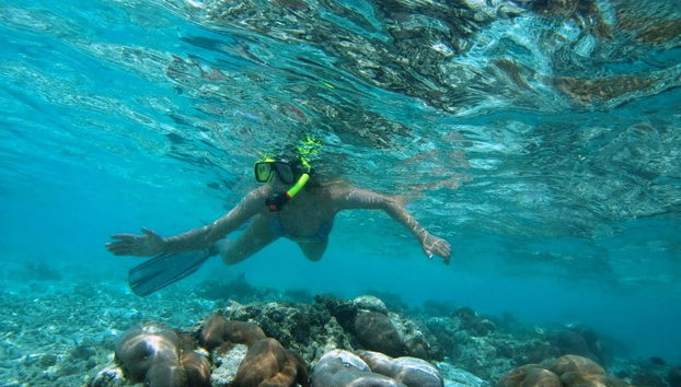 Nachmittags-Schnorchelabenteuer - Foto 3