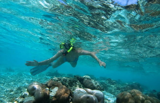 Nachmittags-Schnorchelabenteuer - Foto 3