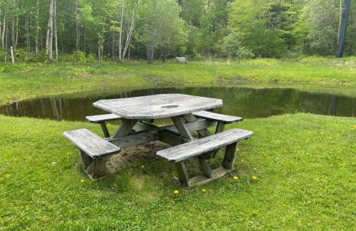 SunBear AC Pool Game Room Fireplace Hiking - Foto 22