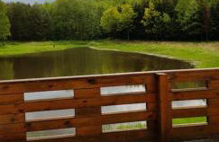 Oaza Las Zagozd - Foto 17