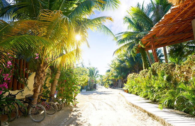 Ganztägige Tour nach Holbox und Passion Island mit Cenote, Transport und Mittagessen - Foto 15