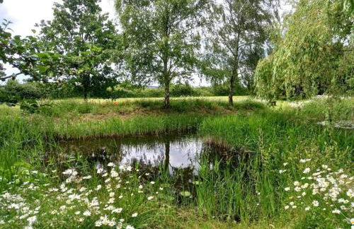 Rustic Retreat Guest Lodge - Photo 10