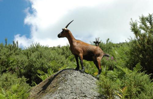 Casa de Campo Monte Abades - Foto 60