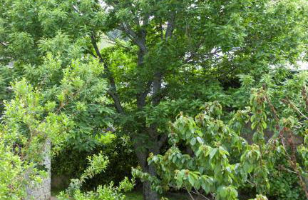 Alojamientos Rurality Home - Foto 63