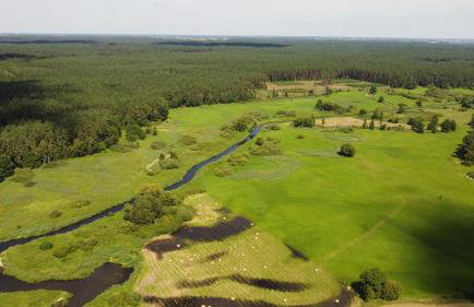 Dworek Willa Biała Góra - Foto 3