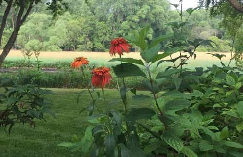 Creekside Lodge - Foto 46