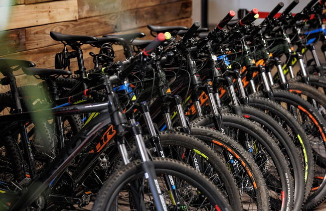 Restyled Bungalow with Dishwasher near Nature Reserve - Photo 20
