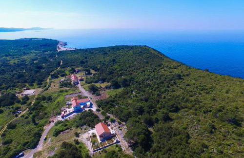 Sakarun - Ena - Photo 56