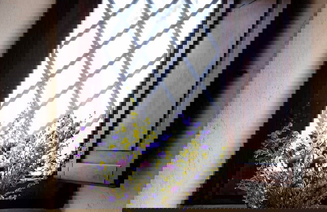 Lama di Luna Biomasseria - Foto 34